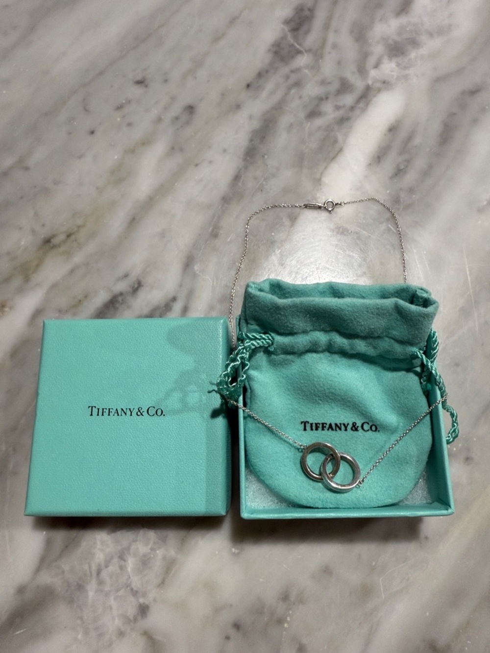 Tiffany & Co. Sterling Silver Interlocking Circle Necklace